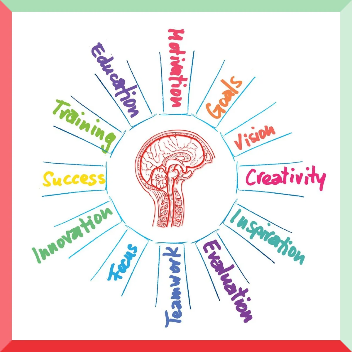 뇌-다양한 역량