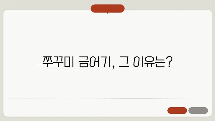 쭈꾸미 금어기