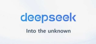 딥시크 뜻 정의 의미 활용