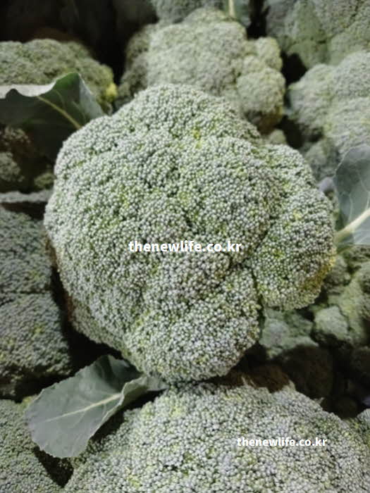 브로콜리 효능인 피로 해소에 탁월한 비타민 C 성분의 실사진