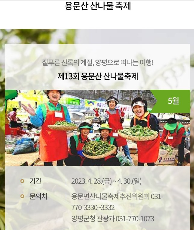 2023년 용문산 산나물축제