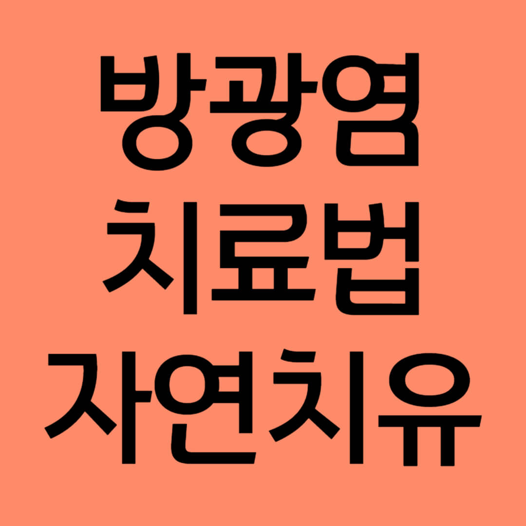 제목