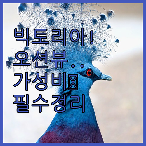 빅토리아 여행 숙소 추천 오션뷰 리조..