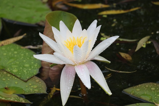 김제 도보 여행 추천 코스 (한적, 저자극, 역사 중심) 관련 사진