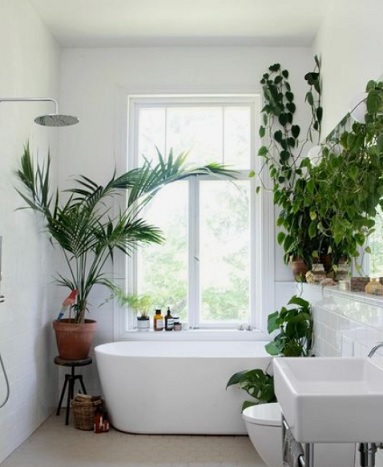 식물-욕실인테리어