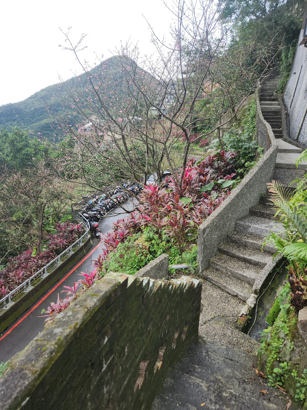 대만 지우펀: 야경과 맛집 및 숙소(윈저스 선라이트 한-구안,日光涵館民宿) 소개_호텔 올라가는 길