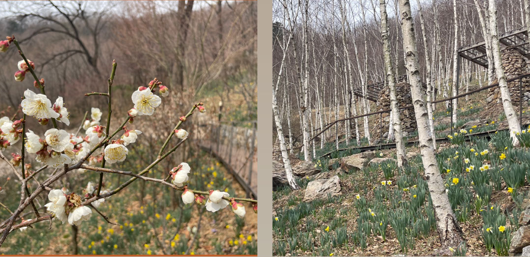 2025 화담숲 예약 방법 & 꿀팁 총정리 - 운영시간·요금·환불까지 2