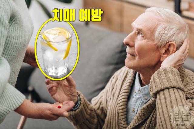 아침 공복 레몬물 효능,치매 파킨슨