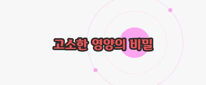 마카다미아의 효능 이제 본격적으로 알아볼까요