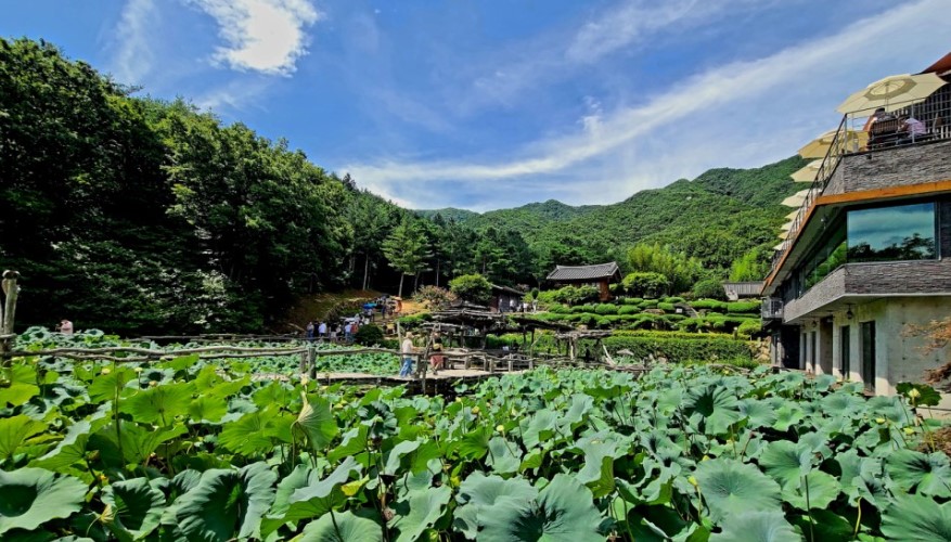 수선사