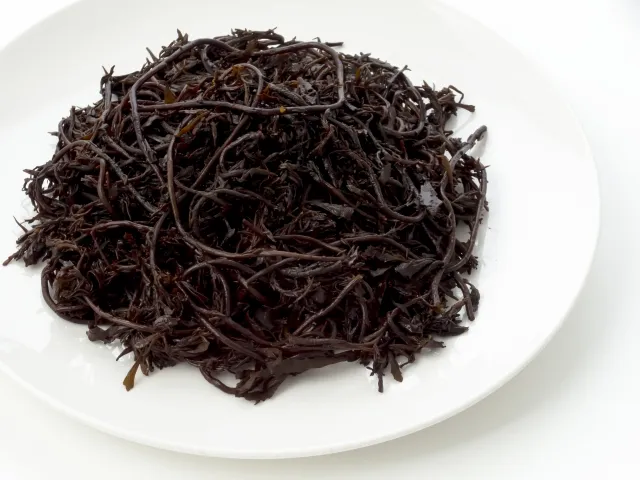 톳 장 건강 유지