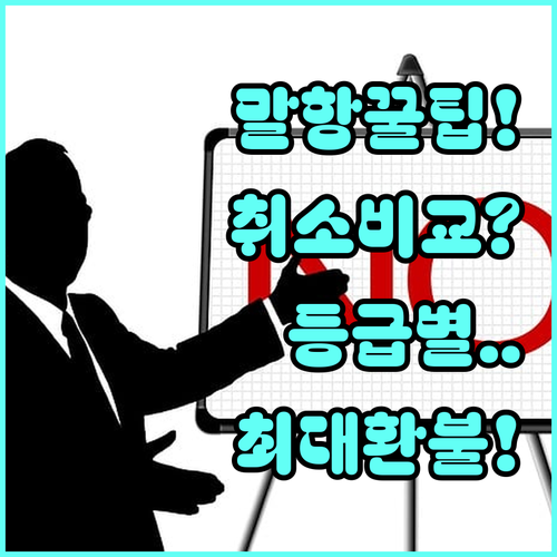 말레이시아 항공 운임 종류별 취소 수..