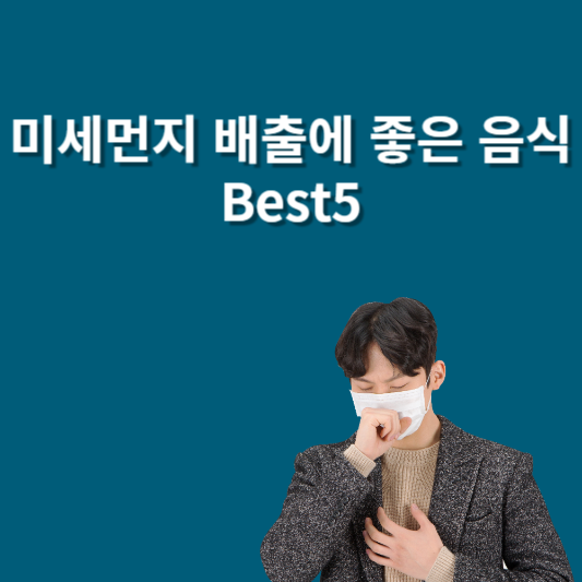 미세먼지 배출에 좋은 음식