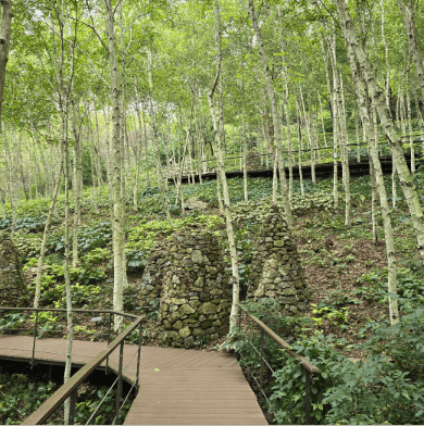 화담숲 예약 취소 시 환불 비율 및 결제 수단별 차이.