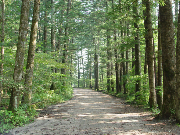 평창 가볼만한곳