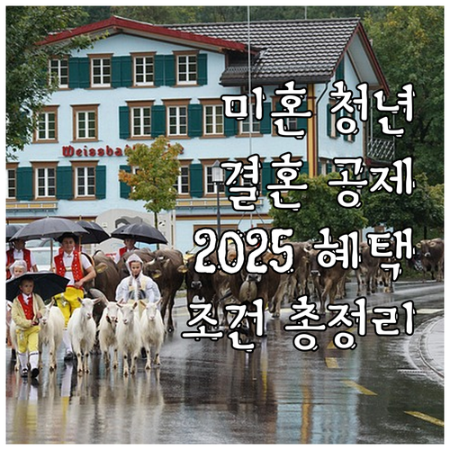 미혼 청년을 위한 2025 충북행복결..