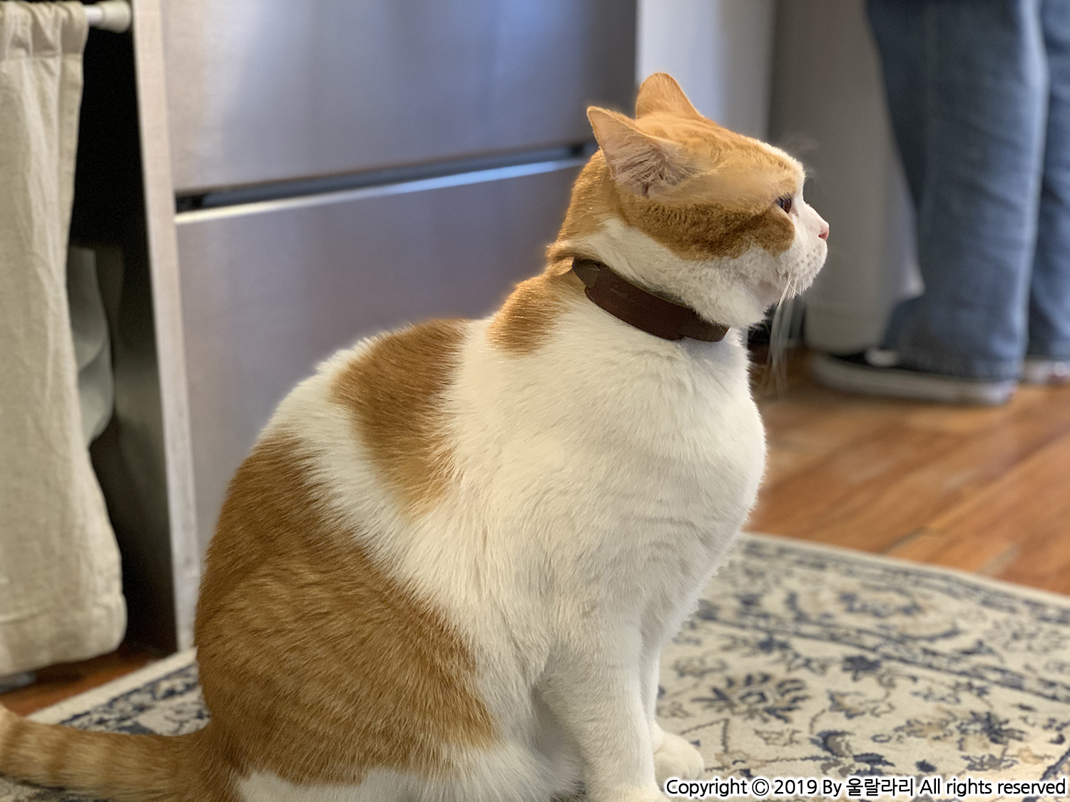 부암동 카페 무네 MUNE