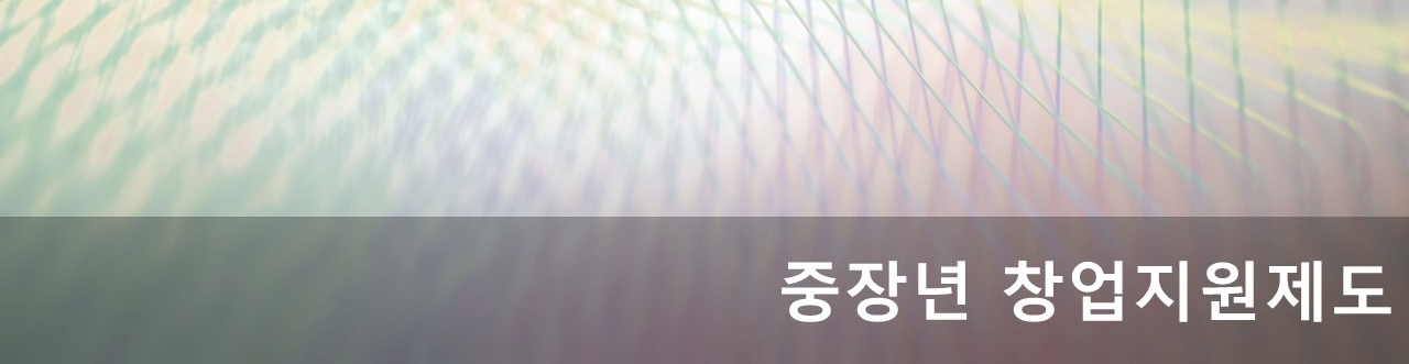 중장년 창업준비제도