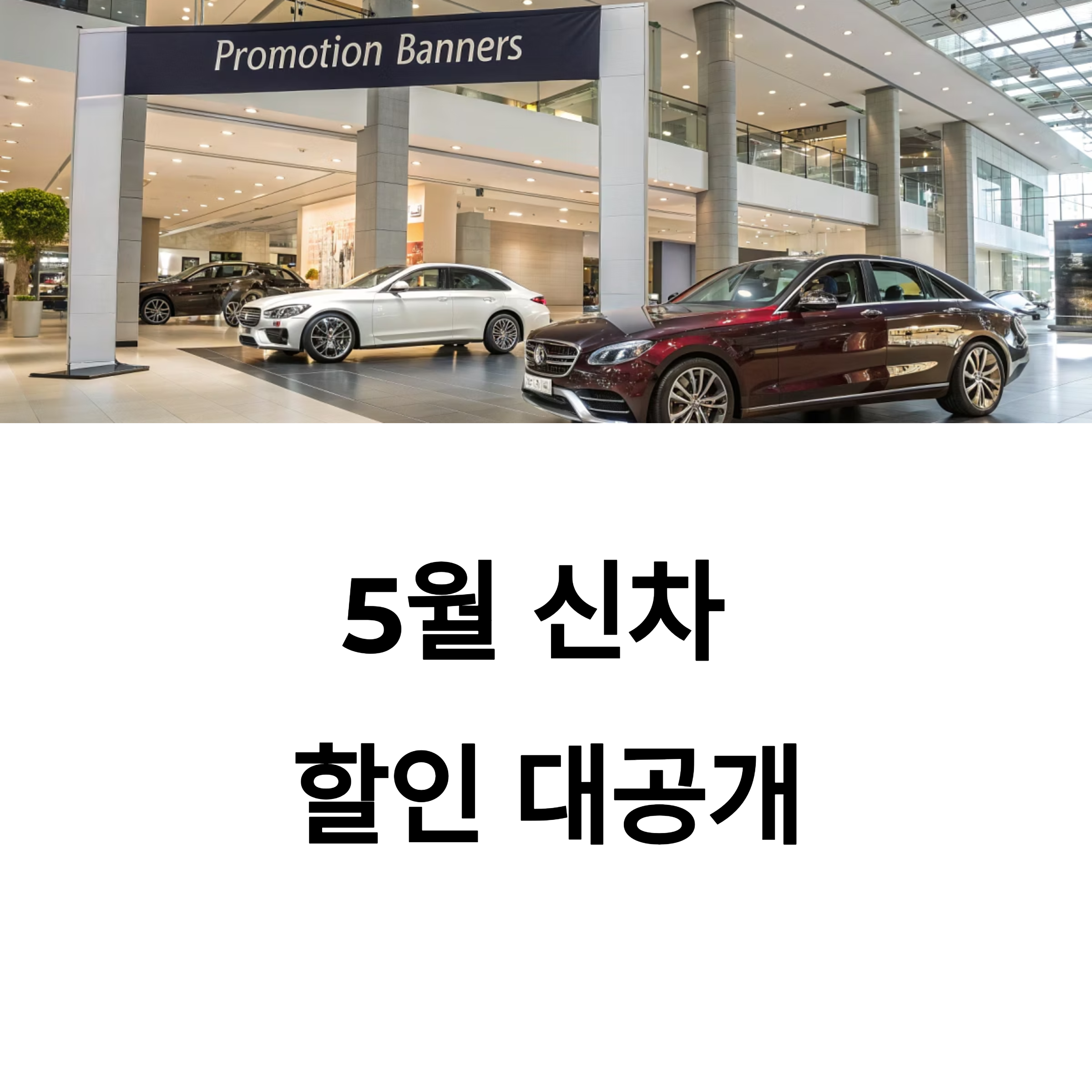 신차 구매 요령 대공개! 5월 프로모션