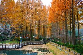 대전장태산자연휴양림