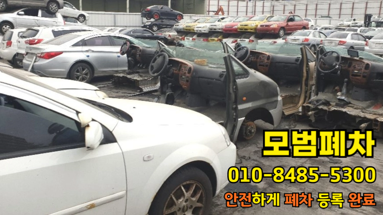 울산 동구폐차장 법인차폐차 장기 방치 차량 확인