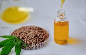 대마종자유 효능