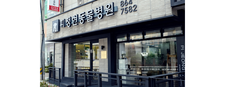 부산 연제구 동물병원