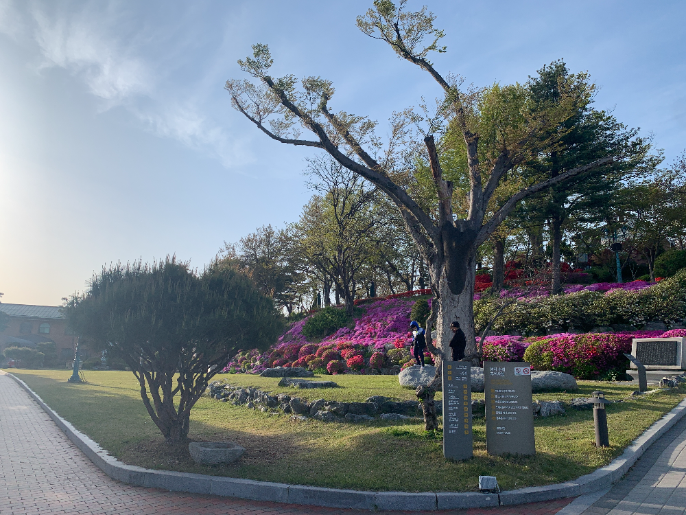 아산 공세리 성당 초입