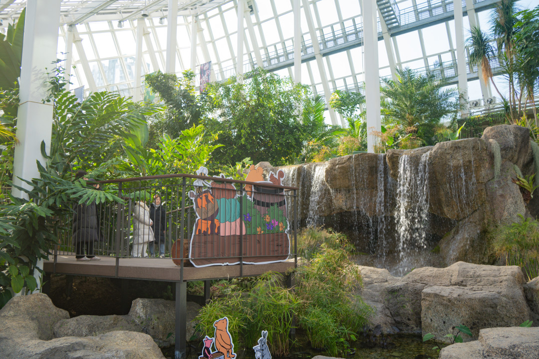 영흥 수목원 폭포