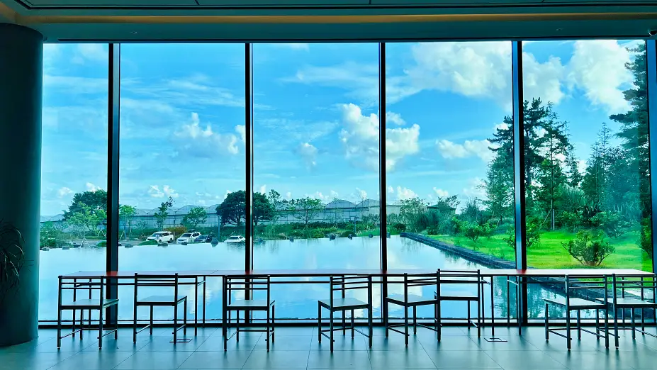 제주 서울앵무새 매장내에서 바라본 외부전경사진