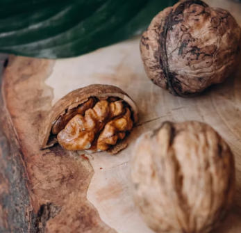 호두 효능과 부작용 하루섭취량 먹는방법 고르는법