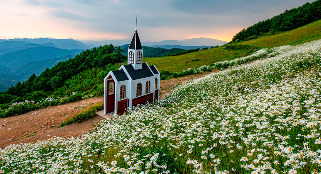 청옥산 육백마지기