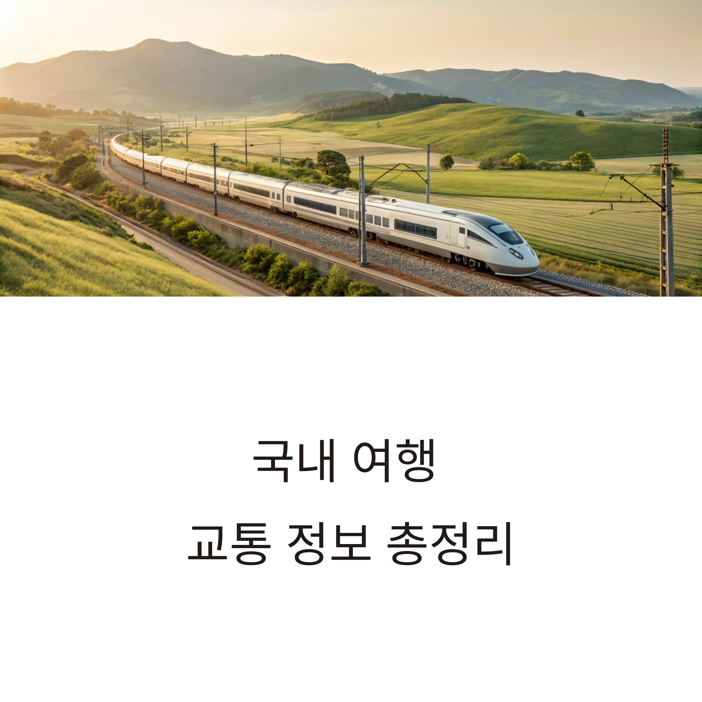 국내 여행지 교통정보