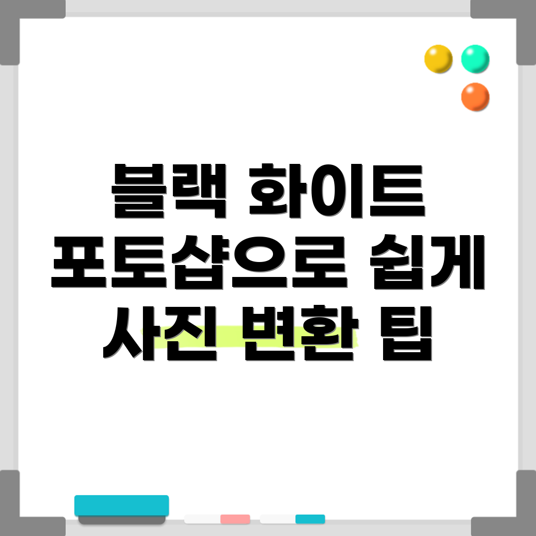 블랙 화이트 사진 변환