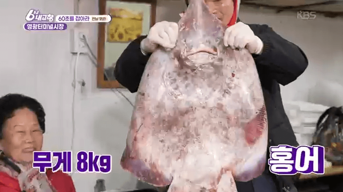 [6시내고향]전남 &amp;#39;영광터미널시장&amp;#39; 굴비 부세 홍어 모싯잎송편 택배 구매 연락처 정보