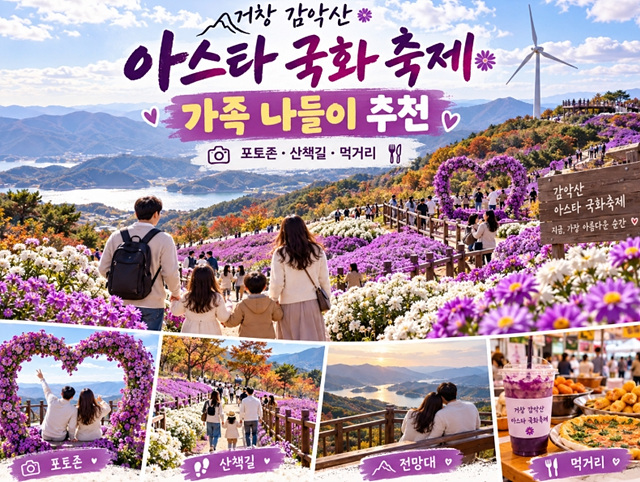 2026 거창 감악산 아스타국화축제 일정 개화 주차 셔틀버스 총정리