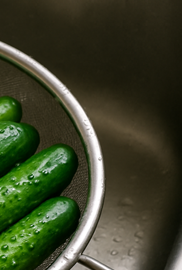 오이탕탕이 간단오이무침