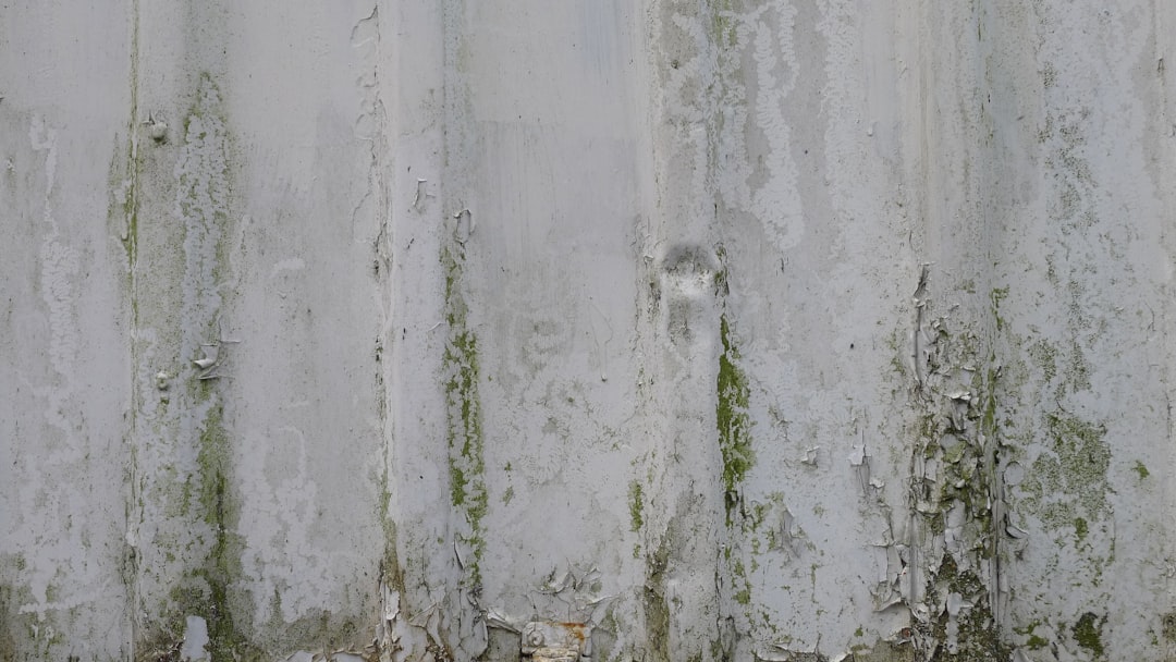 Mold