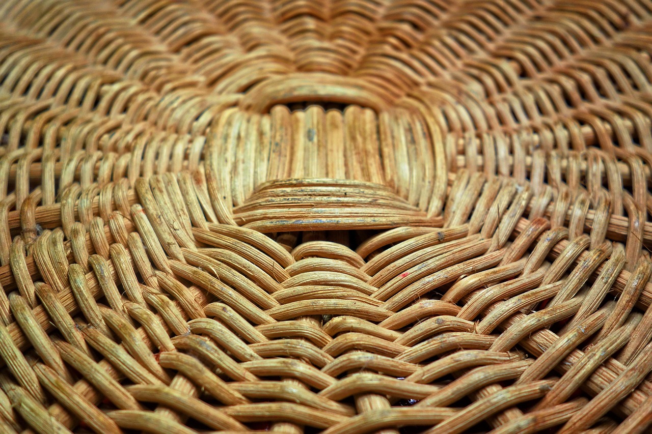 바구니꿈