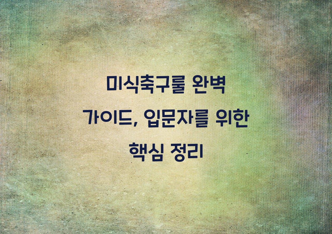 미식축구룰