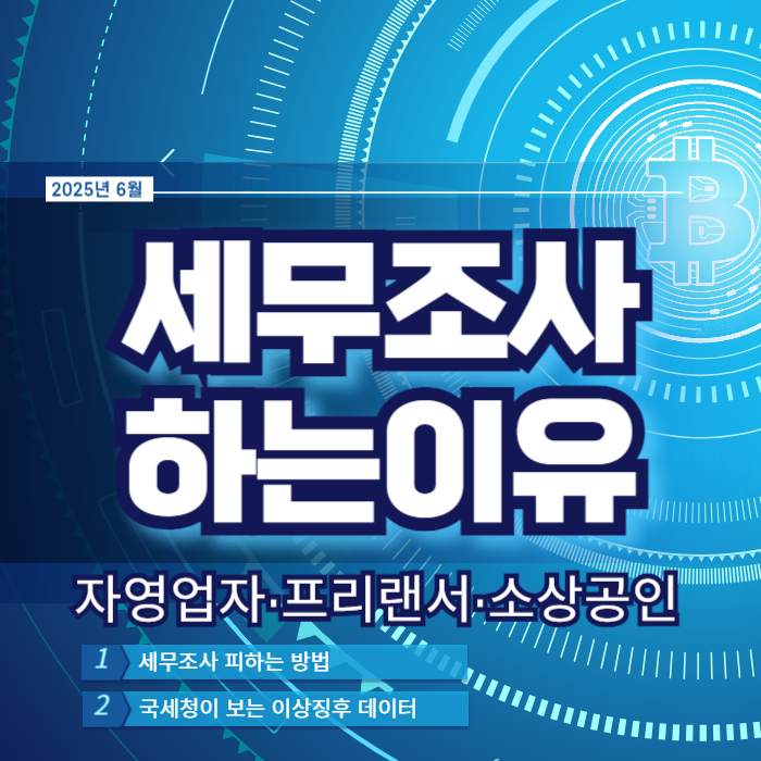 국세청 세무조사 나오는 이유 피하는 법