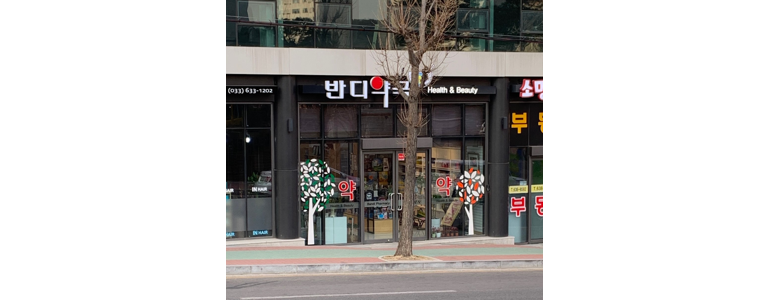 속초시 약국