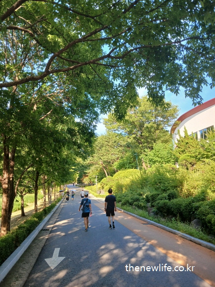 People walking uphill on a sunny tree-lined path in the morning./나무 그늘이 드리운 언덕길을 오르는 사람들