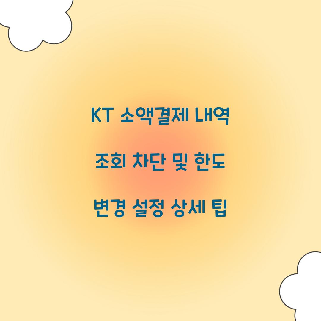 KT 소액결제 내역 조회