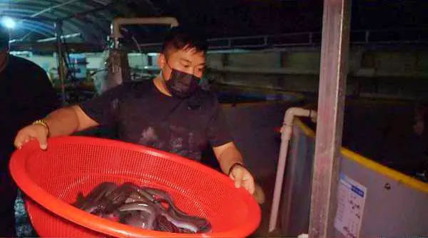 전국 택배 온라인 전화 주문 가능 연매출 70억 지하 450M 암반수 민물장어 장어탕 장어곰탕 장어덮밥 장어 구이 맛있는 식당 경북 예천 맛집 서민갑부 방송 정보