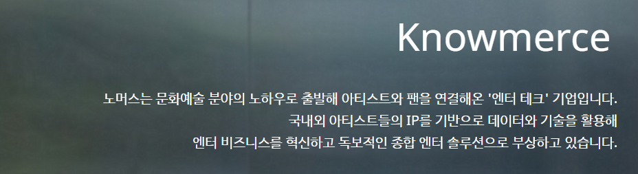 노머스 공모주 수요예측결과 상장일