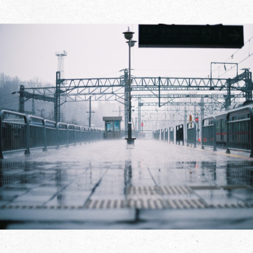 실내 습도 조절을 위한 제습기 사용