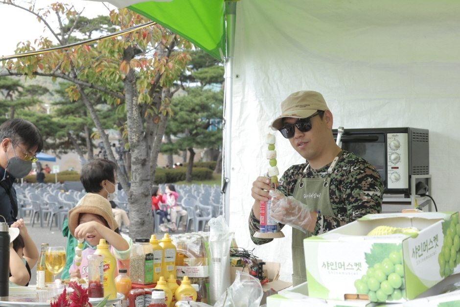 김천포도축제 기본일정과 프로그램 소개 박서진 박지현 왁스 한혜진 출연