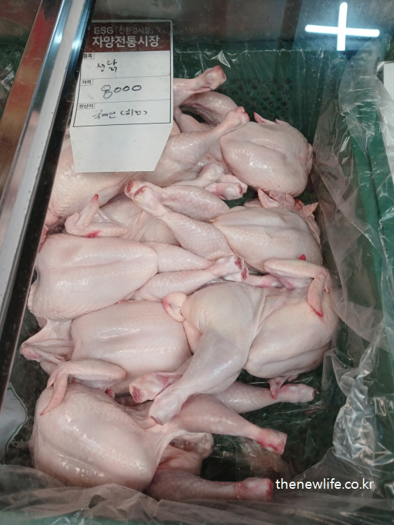 Raw whole chickens at traditional market, a high-protein low-fat food helpful for reducing abdominal fat/전통시장에서 판매 중인 생닭, 복부비만에 좋은 고단백 저지방 식품