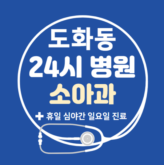 마포구-도화동-24시간-병원-소아과-토요일-야간-일요일-진료-당직병원-찾기